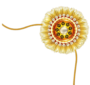 beautiful-rakhi-background-vector-4597131-removebg-preview